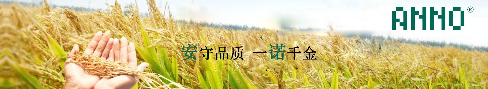產(chǎn)品中心  /  亞磷酸鉀